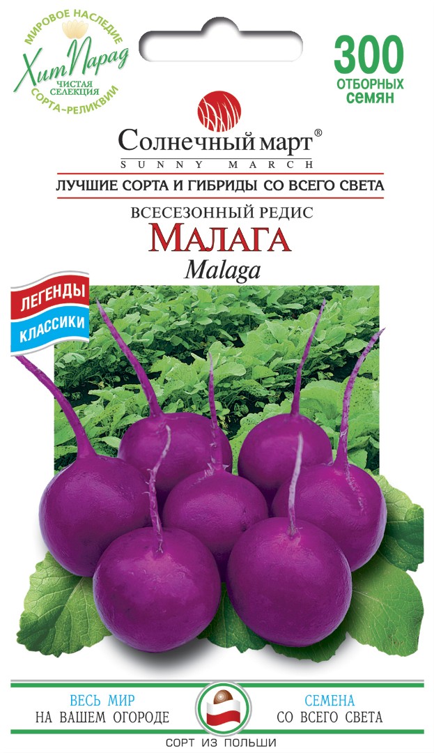 Редис Малага (всесезонный)